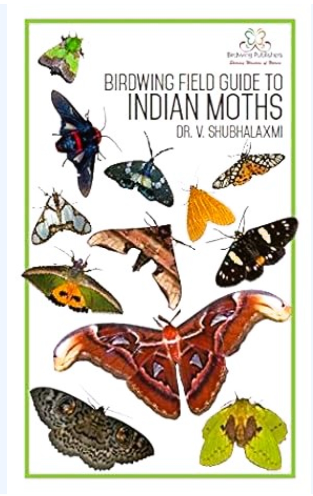 Birdwing Field Guide to Indian Moths by Dr V Shubhalaxmi — ISBN 9788193173602 | GAINA THE PRELUDE