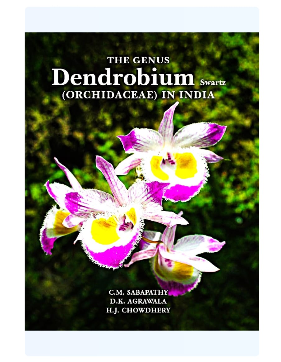 The Genus Dendrobium swartz ( Orchidaceae) In India by CM Sabapathy, DK Agrawala, HJ Chowdhery — ISBN 9788194995340 | GAINA THE PRELUDE