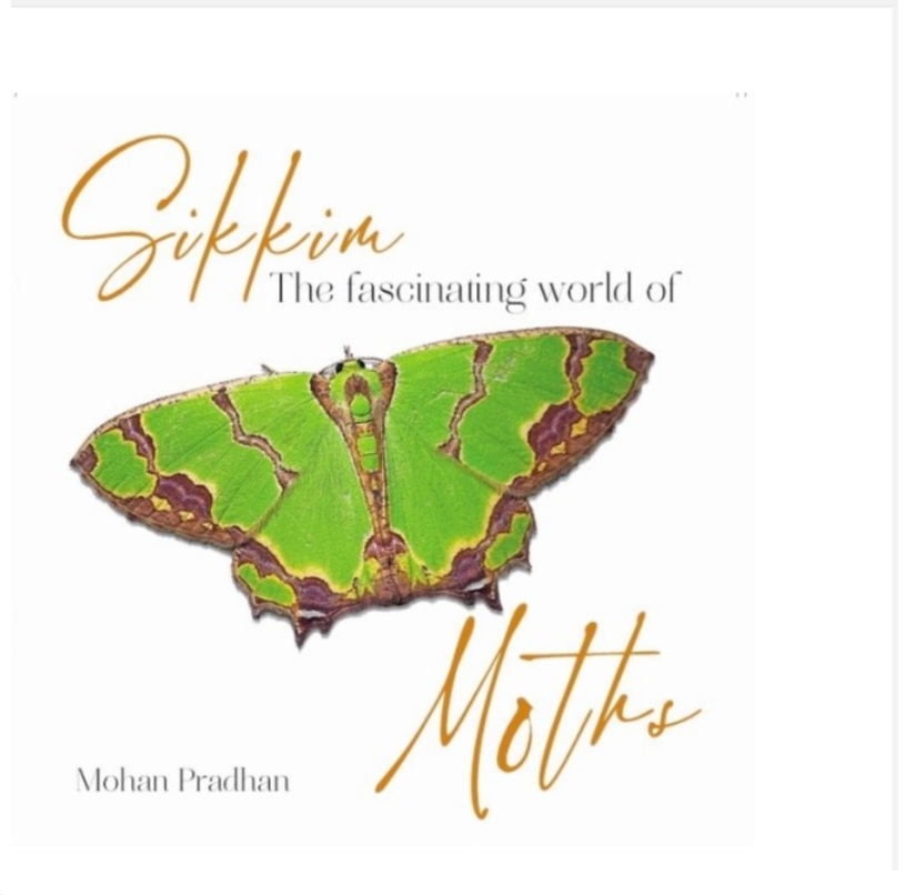 SIKKIM The Fascinating World of MOTHS by Mohan Pradhan — ISBN 9789334155327 | GAINA THE PRELUDE