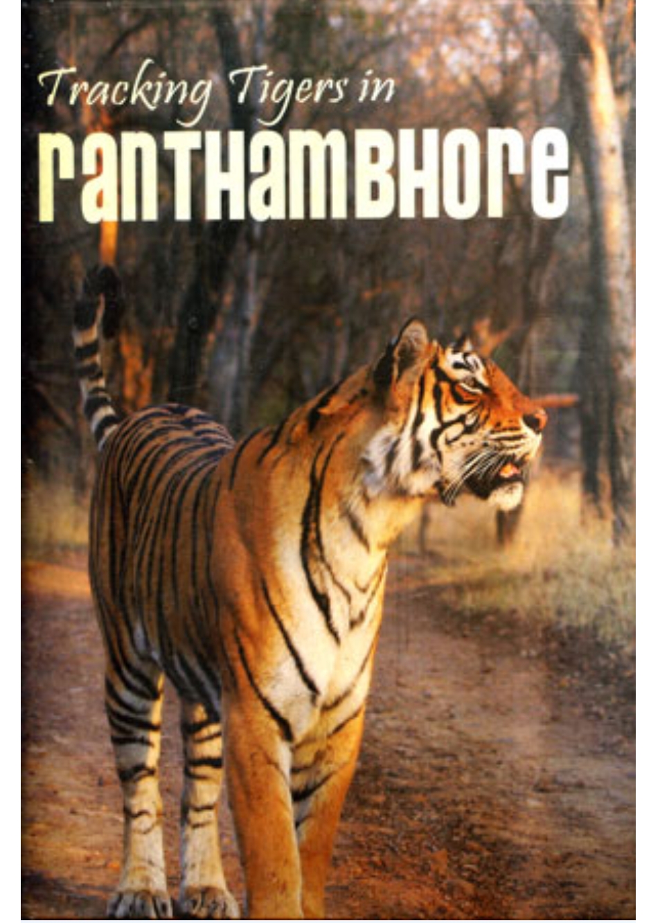 Tracking Tigers in Ranthambhore by Gobind Sagar Bhardwaj — ISBN 9788189274009 | GAINA THE PRELUDE