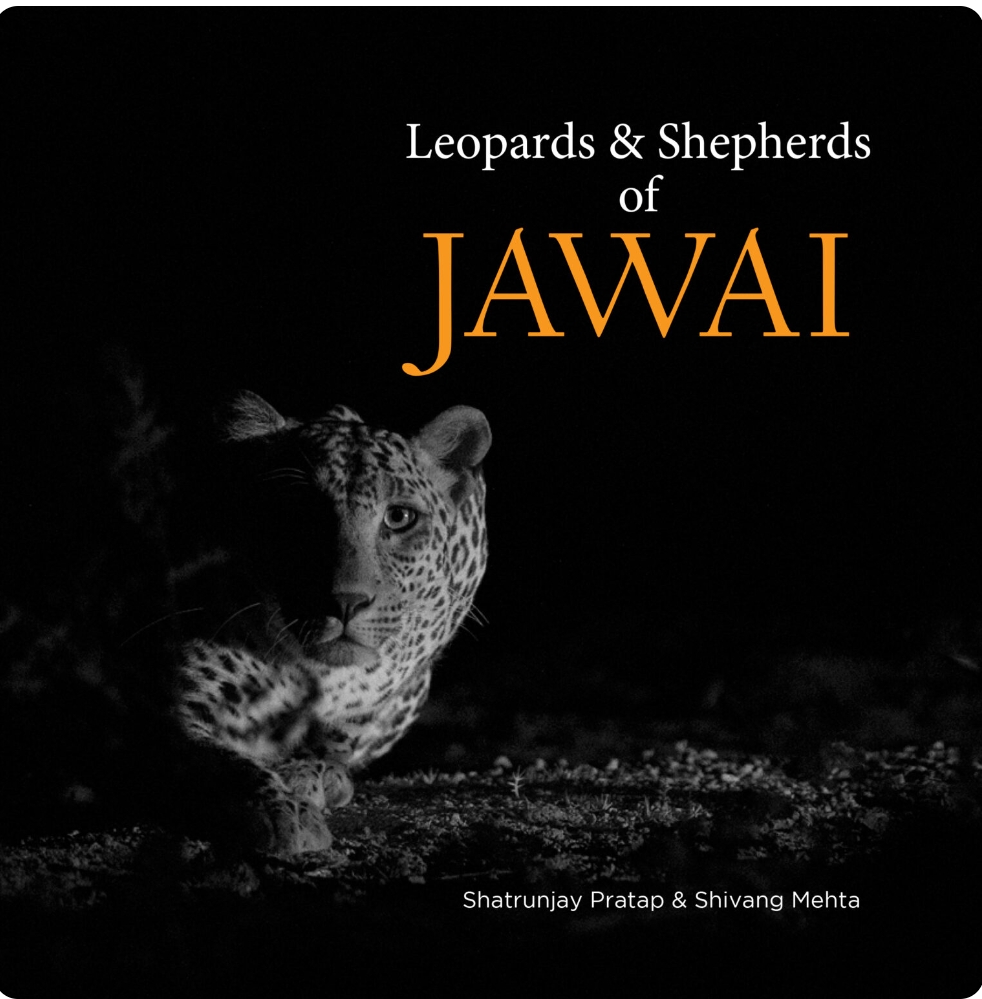 Leopards & Shepherds of Jawai by Shivang Mehta — ISBN 9789353914578 | GAINA THE PRELUDE