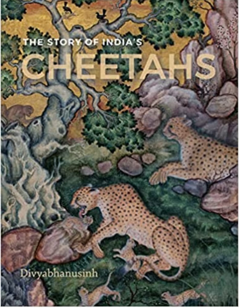The Story of India's Cheetahs by Divyabhanusinh — ISBN 9788195587810 | GAINA THE PRELUDE