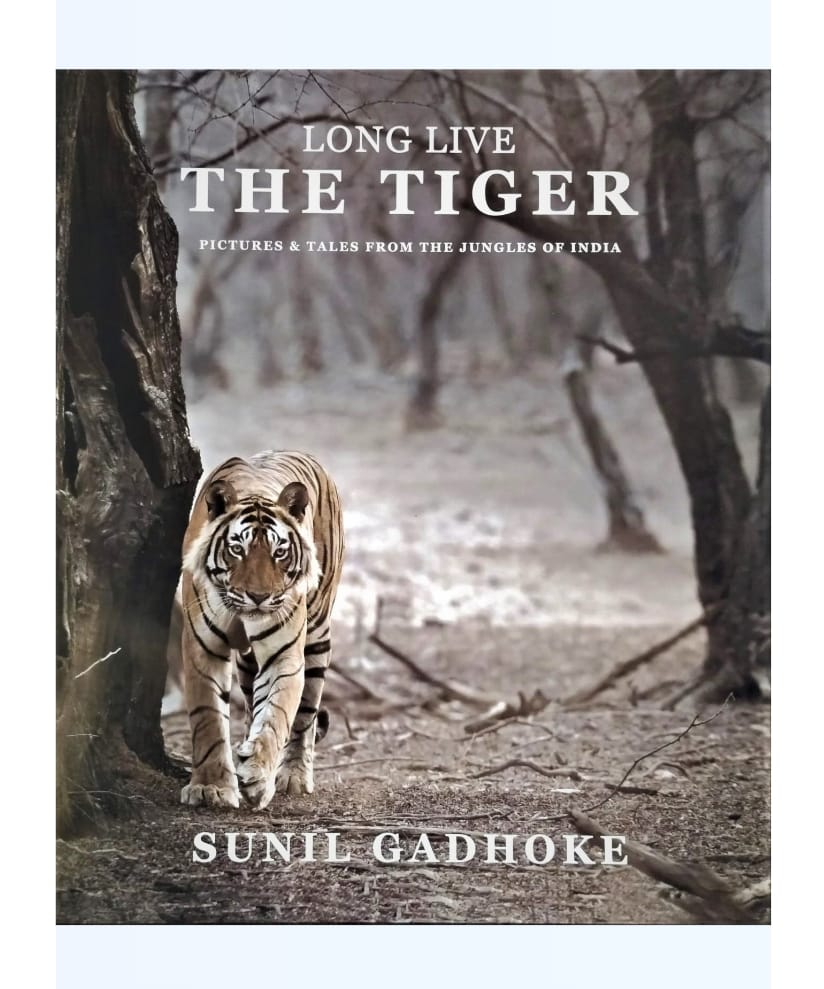 Long Live The Tiger Pictures & Tales From The Jungles of India by Sunil Gadhoke — ISBN 9788196470500 | GAINA THE PRELUDE