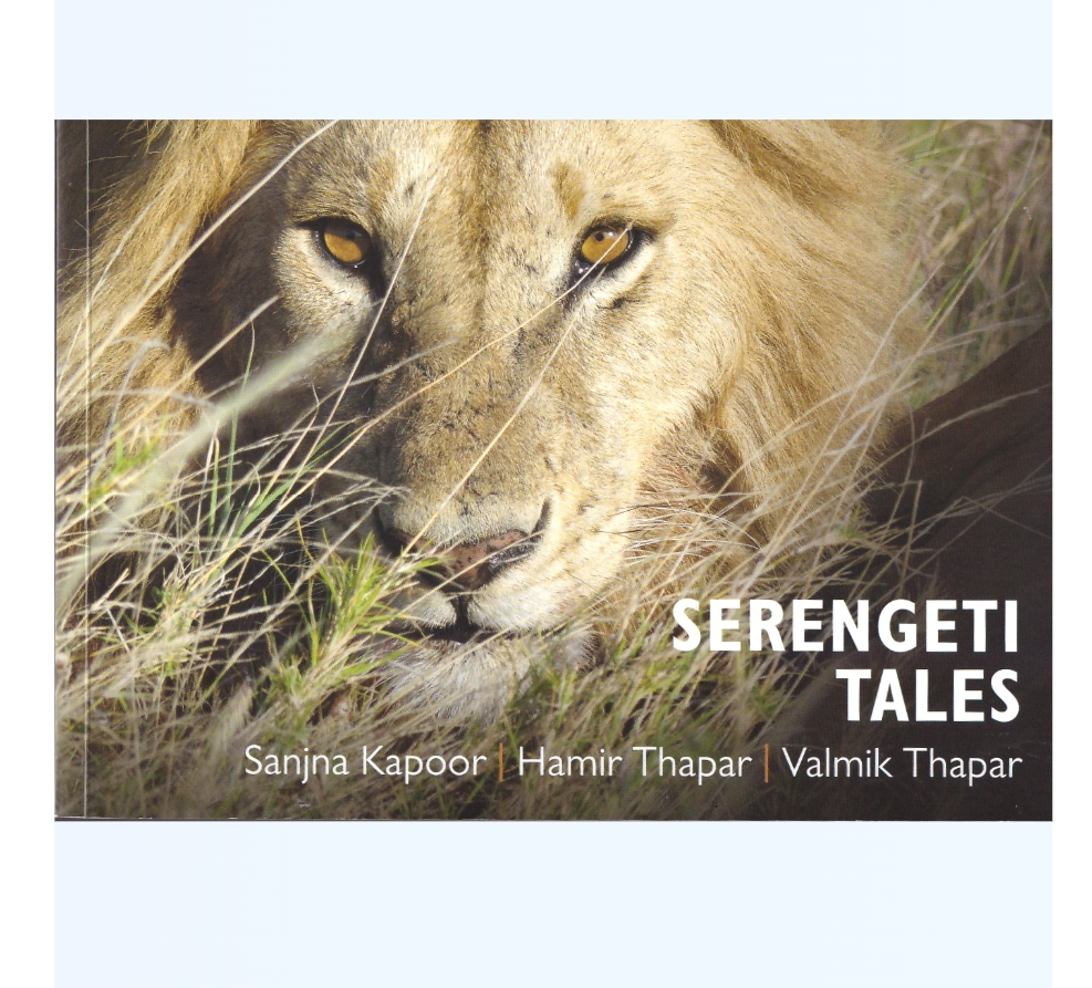 Serengeti Tales Twenty One Days  by Valmik Thapar , Sanjna Kapoor, Hamir Thapar | Buy at GAINA THE PRELUDE