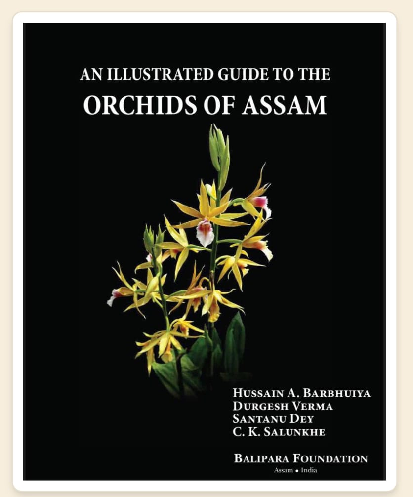 An illustrated Guide To The Orchids of Assam by Hussain A Barbhuiya , Durgesh Verma , Santanu Dey , C K Salunkhe — ISBN 9788194631514 | GAINA THE PRELUDE