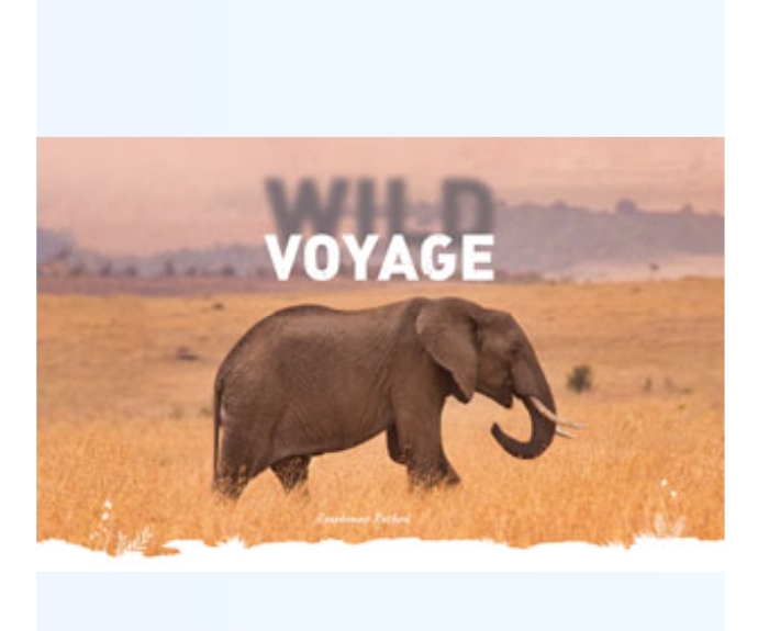 Wild Voyage by Roopkumar Rathor — ISBN 9789332705333 | GAINA THE PRELUDE