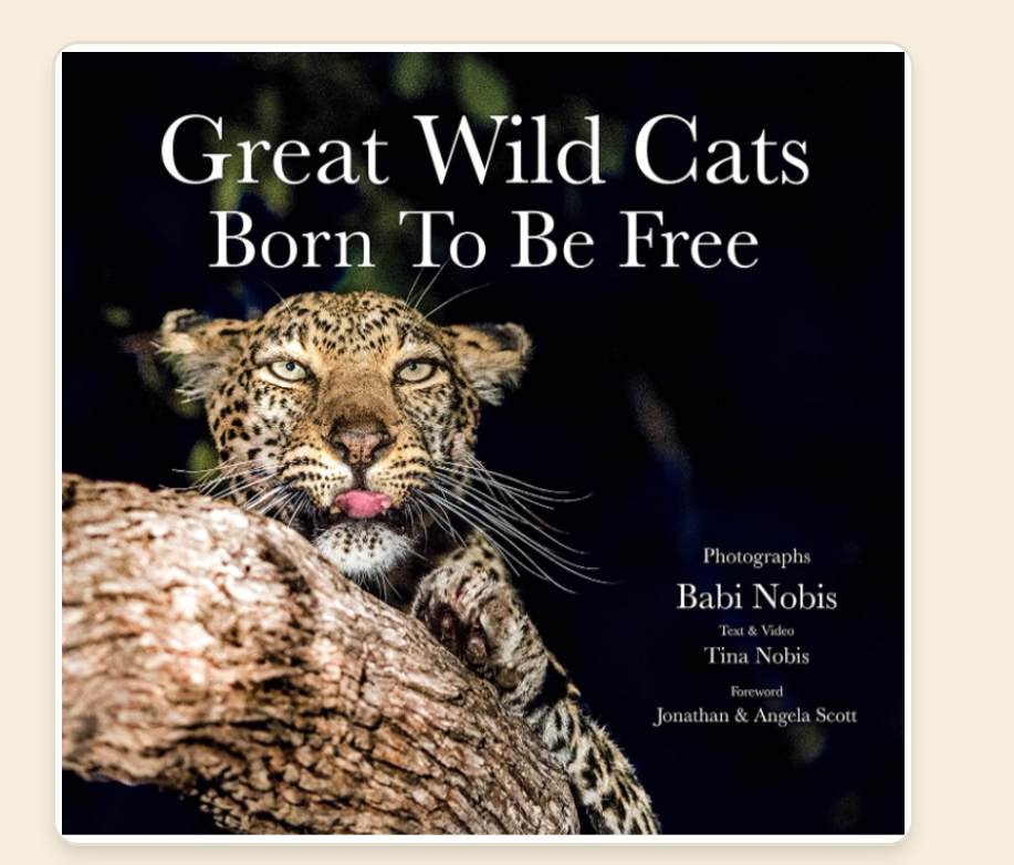 Great Wild Cats Born To Be Free by Babi Nobis and Tina Nobis — ISBN 9789353761813 | GAINA THE PRELUDE
