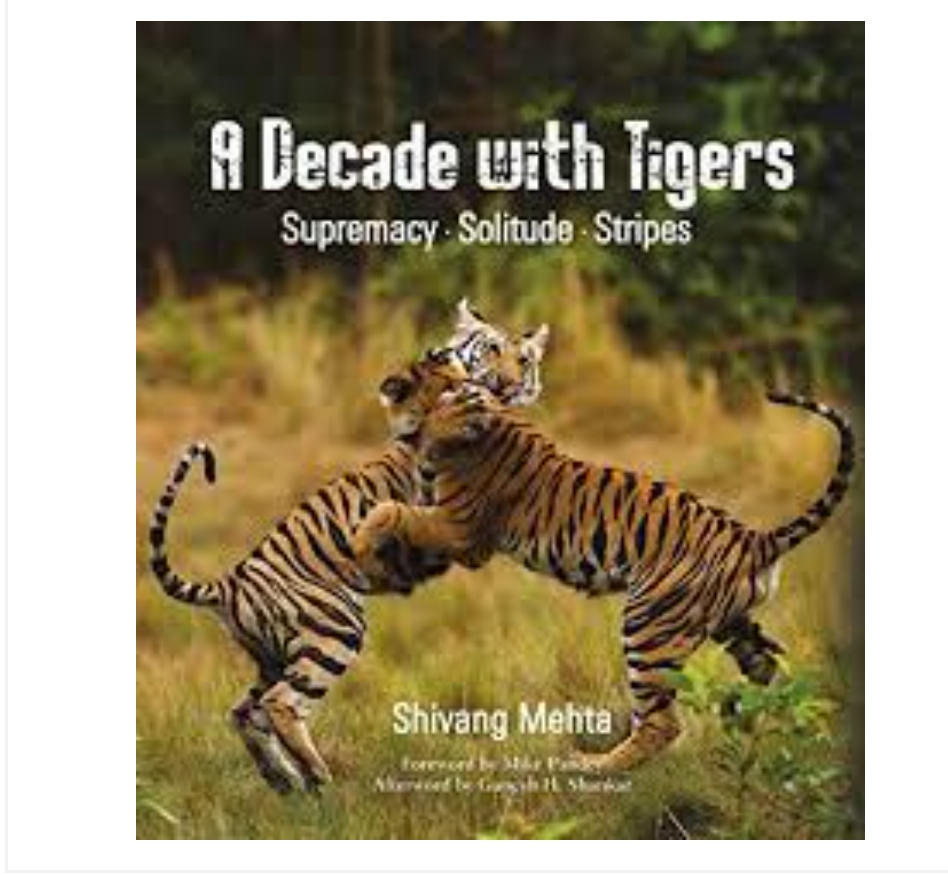 A Decade with Tigers: Supremacy. Solitude. Stripes by Shivang Mehta — ISBN 9789386906038 | GAINA THE PRELUDE
