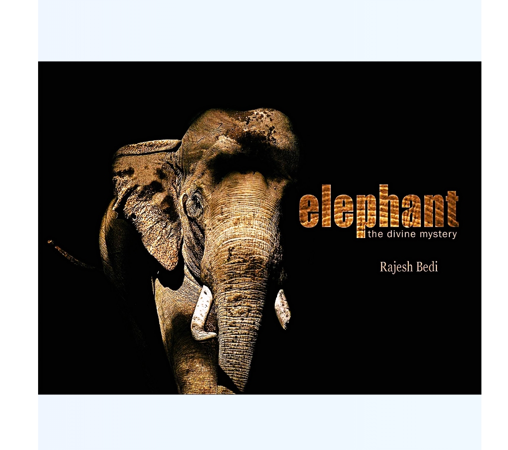 ELEPHANT THE DIVINE MYSTERY by Rajesh Bedi — ISBN 9788199161795 | GAINA THE PRELUDE