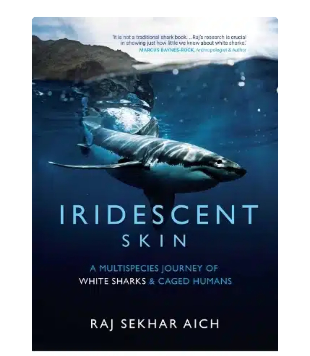 Iridescent Skin: A Multispecies Journey of White Sharks & Caged Humans (H.B) by Raj Sekhar Aich — ISBN 9789391125530 | Buy at GAINA THE PRELUDE
