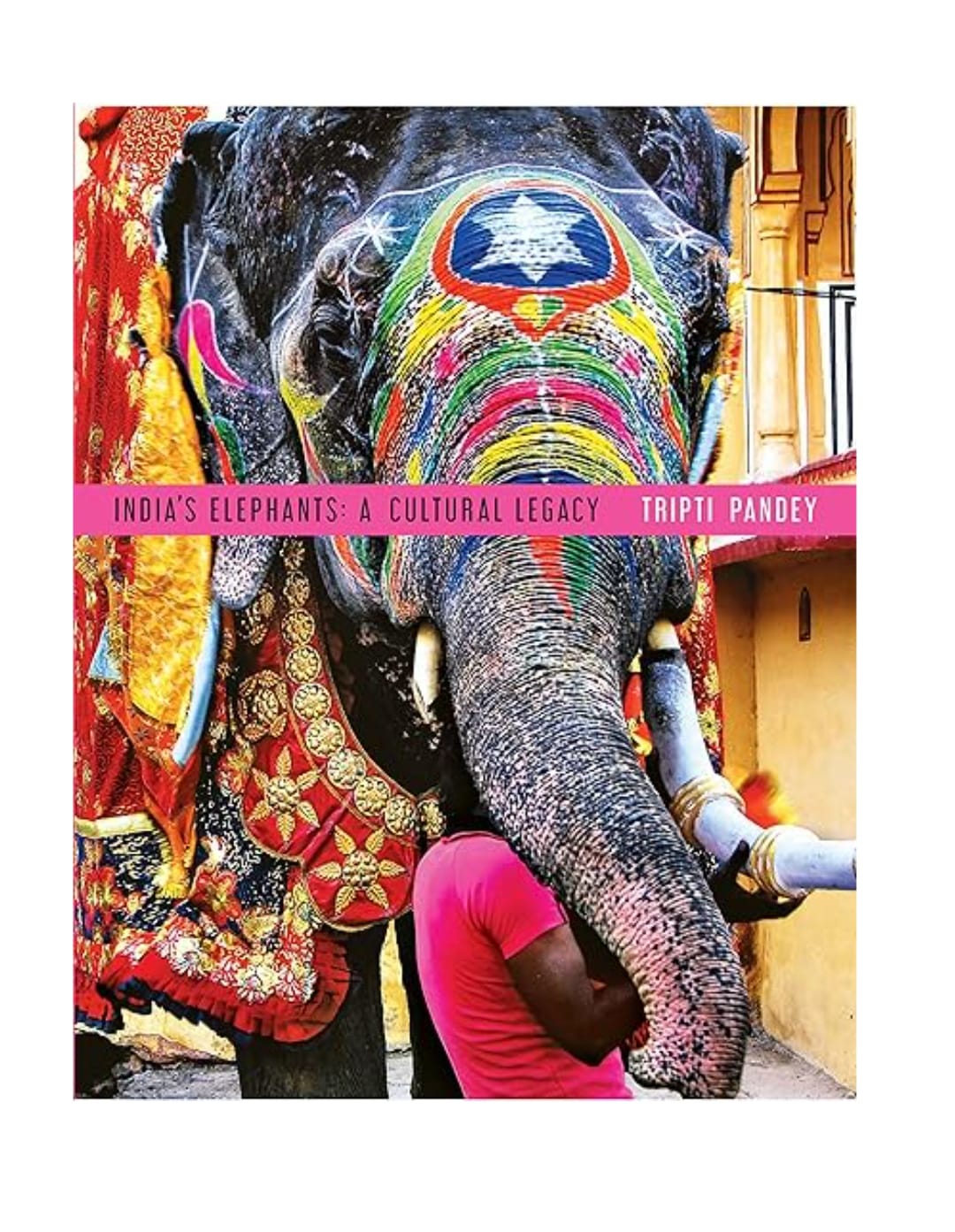 India's Elephants : A Cultural Legacy by Tripti Pandey — ISBN 9780670089529 | Buy at GAINA THE PRELUDE