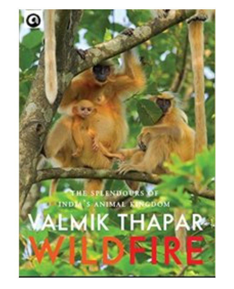 Wild Fire by Valmik Thapar  — ISBN 9789383064687 | GAINA THE PRELUDE