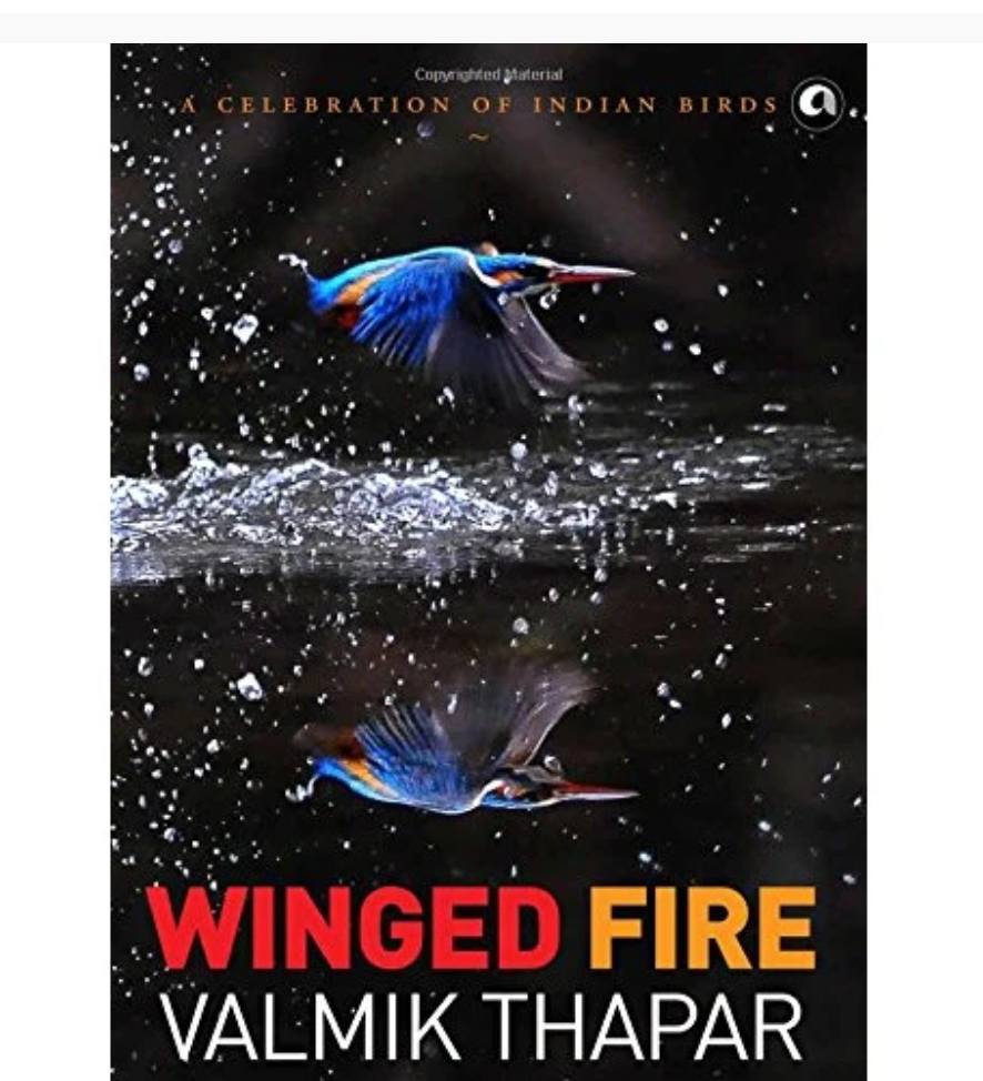 Winged Fire by Valmik Thapar — ISBN 9789383064694 | GAINA THE PRELUDE